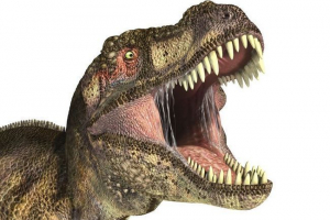 Milyen hangosan ártott dinoszauruszok?
